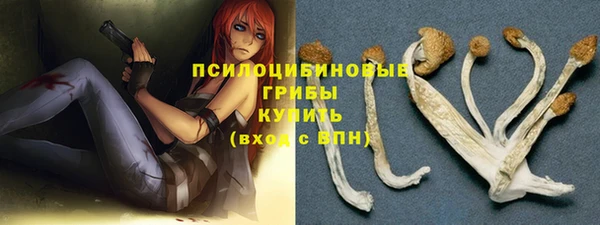 прущие крисы Бугульма